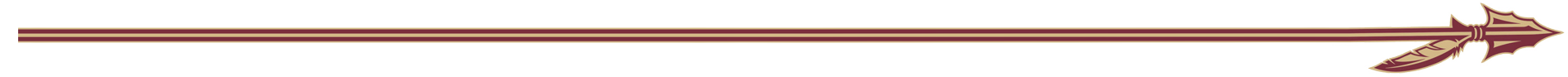 seminole arrow
